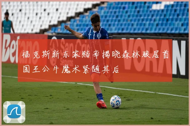 福克斯新东家赔率揭晓森林狼居首国王公牛魔术紧随其后
